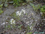 PICT6855.JPG