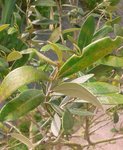 20160506_112809.jpg