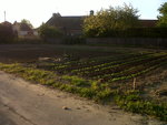 POTAGER17.jpg