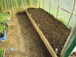 La terre replacée et un coup de râteaux passé. j'ai ensuite déposé des tontes de gazon.