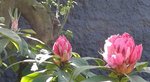 20160506_145431-1-1.jpg