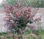 20160502_195034.jpg