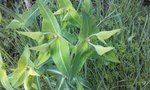 20160507_205145.jpg