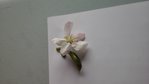 20160508_101054.jpg