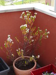 DSC015902.JPG