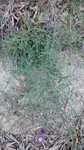 20160507-195640.jpg