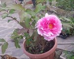 20160416_172728.jpg