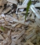 WP_20160510_003.jpg