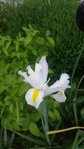 20160510_133453_resized_1.jpg