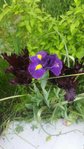20160510_133450_resized_1.jpg