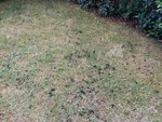 IMG_20160512_140732.jpg