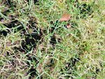 IMG_20160512_140739.jpg