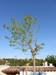 IMG_5875.JPG