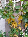 2016-05-08 17.07.21.jpg