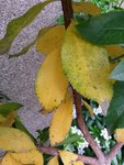 2016-05-08 17.07.29.jpg