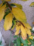 2016-05-08 17.07.34.jpg