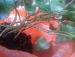 20160515_114357.jpg