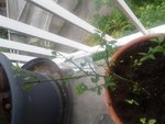 20160515_132940.jpg