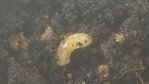 20160516_123138.jpg