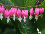 thumb_IMG_1954_1024.jpg