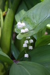thumb_IMG_2193_1024.jpg