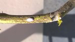 WP_20160516_12_58_12_Pro.jpg