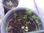 IMG_20160516_190104-ConvertImage.jpg