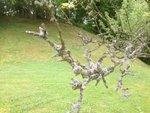 IMG_5720.jpeg