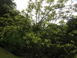 IMG_5721.jpeg