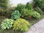 IMG_5724.jpeg