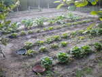 DSCN6850.JPG