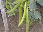 DSCN6727.JPG