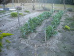 DSCN6654.JPG