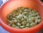 DSCN6799.JPG