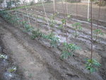 DSCN6853.JPG