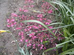 DSCN6673.JPG