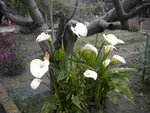 DSCN6680.JPG