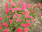 DSCN6695.JPG