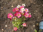 DSCN6691.JPG