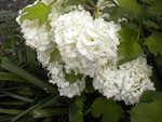 DSCN6697.JPG