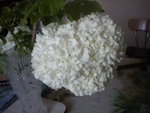 DSCN6741.JPG