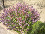 DSCN6752.JPG