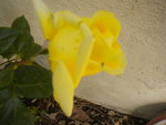 DSCN6762.JPG