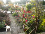 DSCN6773.JPG