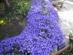 DSCN6818.JPG