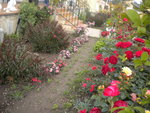 DSCN6788.JPG