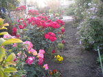 DSCN6842.JPG
