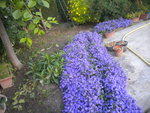 DSCN6844.JPG