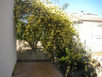 DSCN6702.JPG