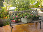 DSCN6774.JPG